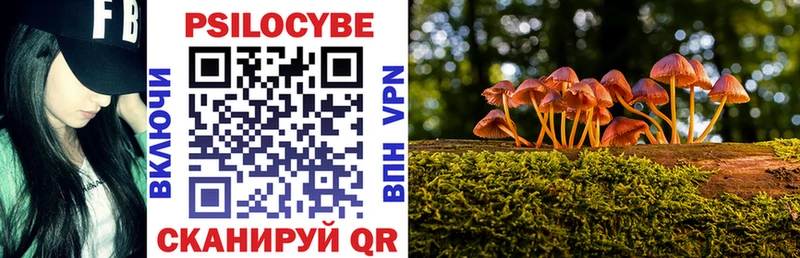 Галлюциногенные грибы GOLDEN TEACHER  Верхоянск 